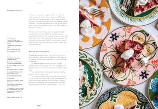 Le Sud: Recipes from Provence-Alpes-Côte d'Azur (Spiral Bound) - By Baano