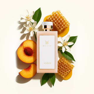 AMBRE | WOMEN - By Baano