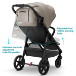 Mompush Nova