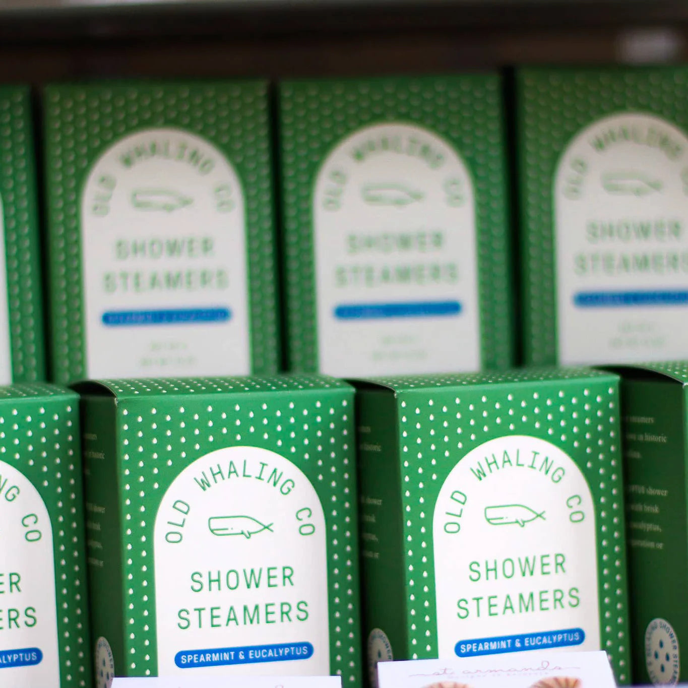 Spearmint & Eucalyptus Shower Steamers