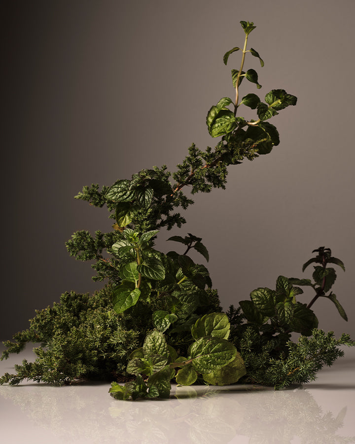 Dish Soap Refill Homecourt