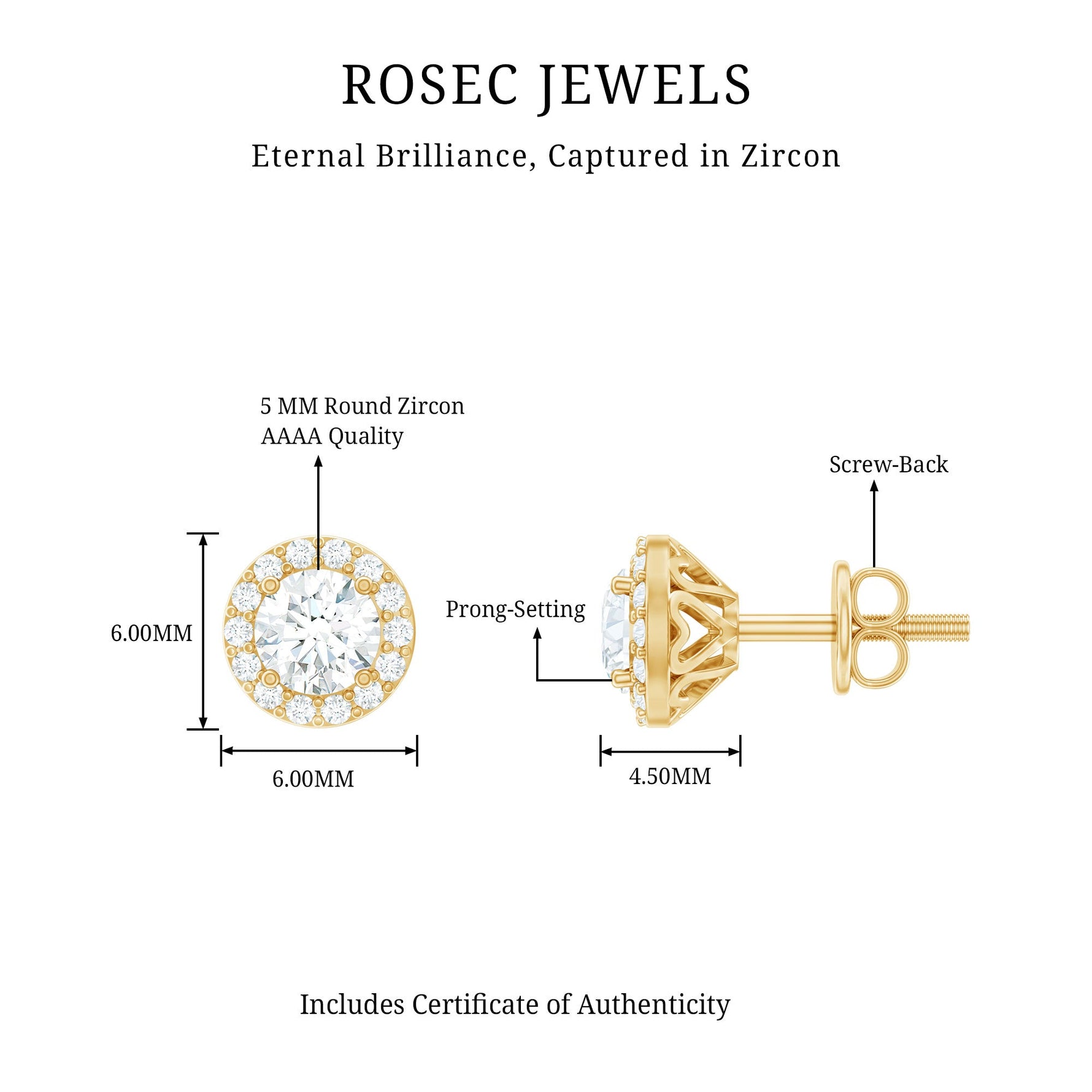 1 CT Zircon Classic Halo Stud Earrings