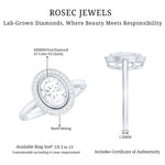 Classic Lab Grown Diamond Engagement Ring with Halo