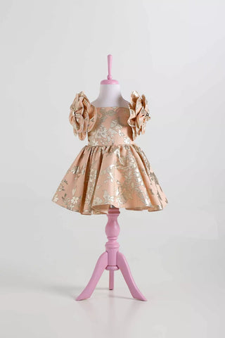 Rosa Powder Party Dress