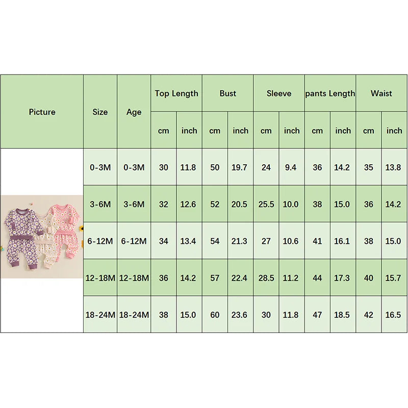 Baby Toddler Girls 2Pcs Fall Outfit Daisy Flower Print Long Sleeve Crewneck Top and Elastic Pants Jogger Set