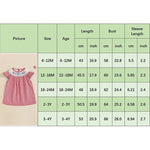 Baby Toddler Girls 4th of July Dress Loose Fit Plaid American Flag Embroidery Smocked Crew Neck Flying Sleeve Dress