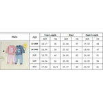 Baby Toddler Kids 2Pcs Big Sis / Bro Fall Outfit Long Sleeve Letter Embroidery Pullover + Checkered Pants Set