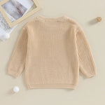Toddler Kids Boys Sweaters Cotton Long Sleeve Letter Embroidery Big Brother Pullover Loose Knitwear Top