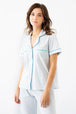 Light Blue/Cerulean