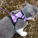 Mr. Peanut's PurrTrek Reflective Cat Harness with Matching Leash - By Baano