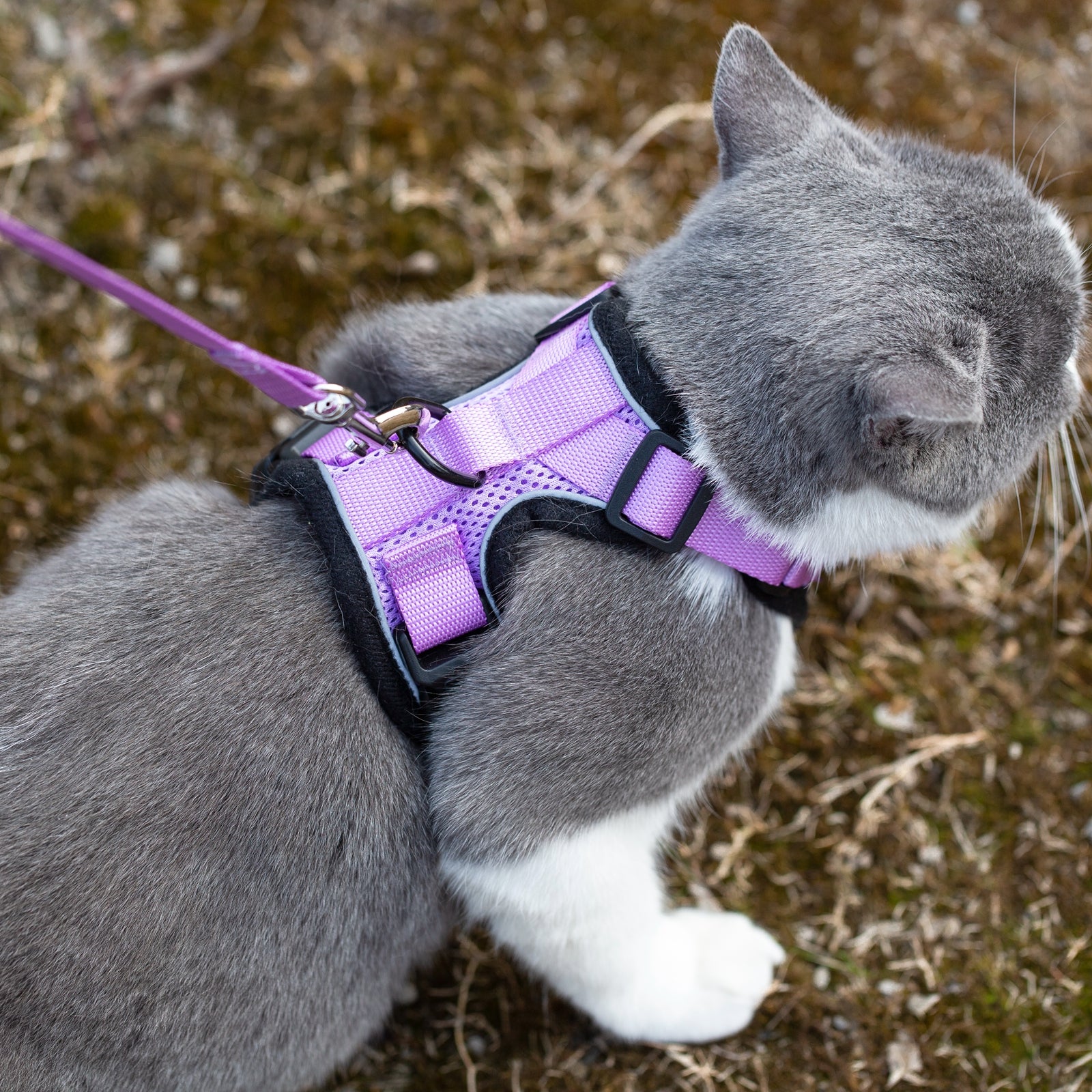 Mr. Peanut's PurrTrek Reflective Cat Harness with Matching Leash - By Baano