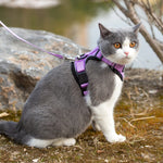 Mr. Peanut's PurrTrek Reflective Cat Harness with Matching Leash - By Baano