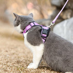 Mr. Peanut's PurrTrek Reflective Cat Harness with Matching Leash - By Baano