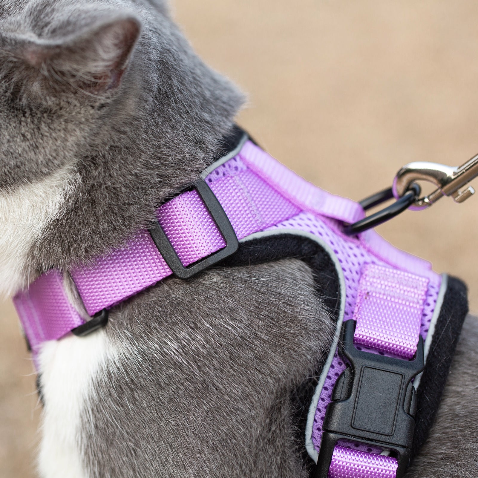Mr. Peanut's PurrTrek Reflective Cat Harness with Matching Leash - By Baano