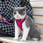 Mr. Peanut's PurrTrek Reflective Cat Harness with Matching Leash - By Baano