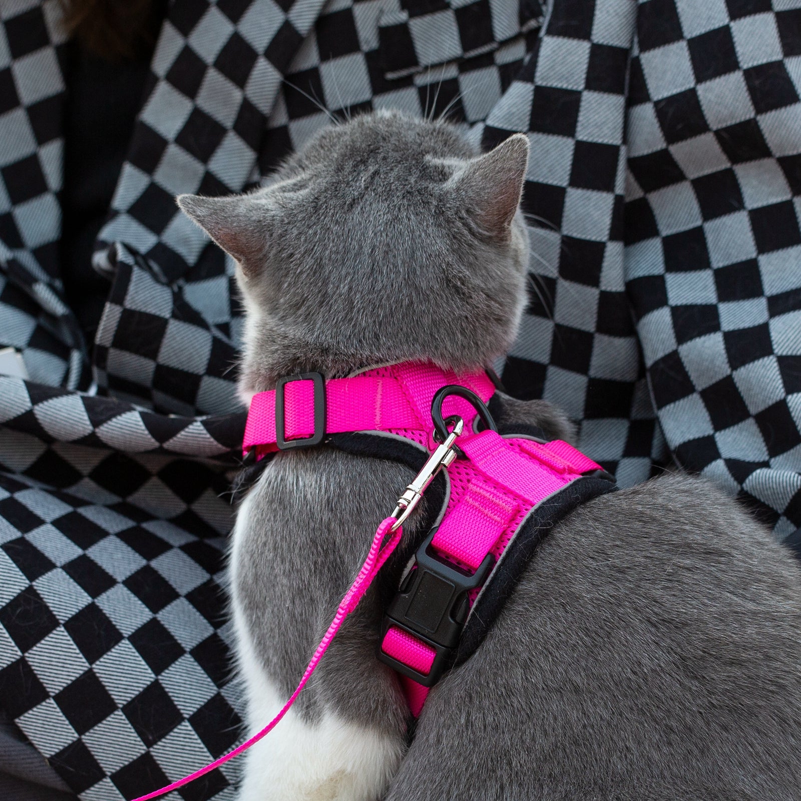 Mr. Peanut's PurrTrek Reflective Cat Harness with Matching Leash - By Baano