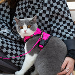 Mr. Peanut's PurrTrek Reflective Cat Harness with Matching Leash - By Baano
