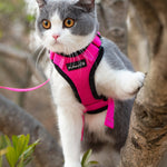 Mr. Peanut's PurrTrek Reflective Cat Harness with Matching Leash - By Baano