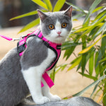 Mr. Peanut's PurrTrek Reflective Cat Harness with Matching Leash - By Baano