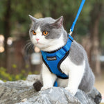 Mr. Peanut's PurrTrek Reflective Cat Harness with Matching Leash - By Baano