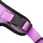 Mr. Peanut's PurrTrek Reflective Cat Harness with Matching Leash - By Baano