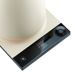 Luna Electric Kettle Pro