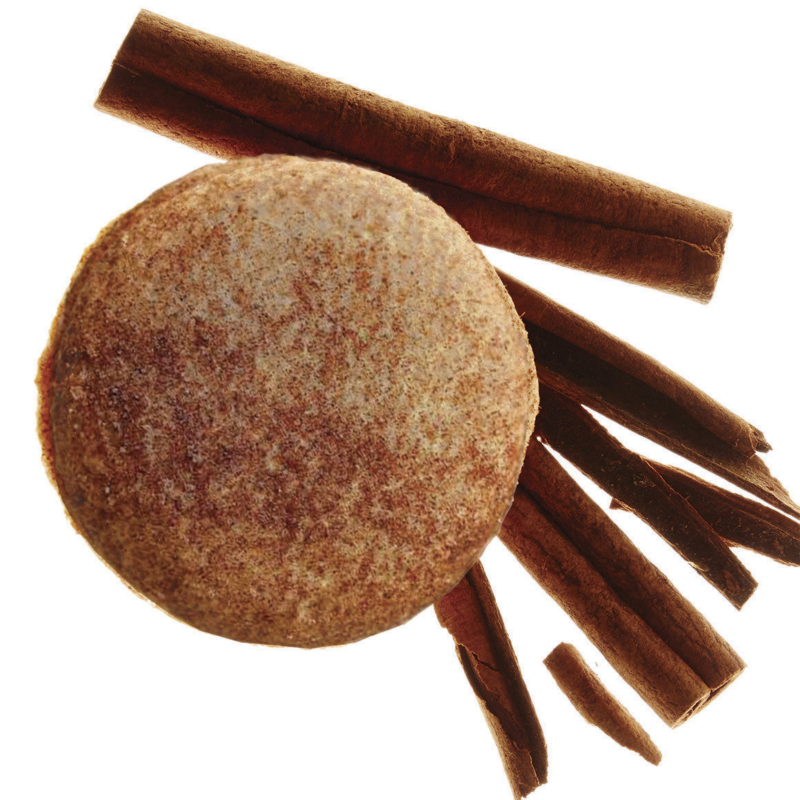 Snickerdoodle Alfajores Cookie