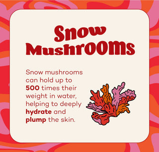 Fungdation - Mushroom Foundation - By Baano