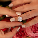 Holly in Gold - For the Romantic in You