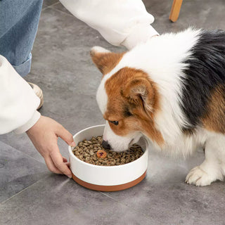 Tara Dog Bowls