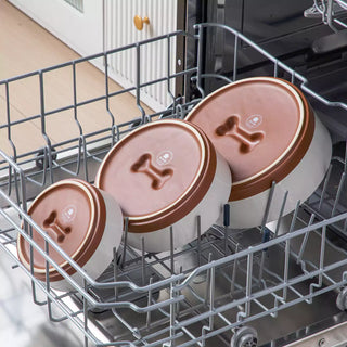 Tara Dog Bowls