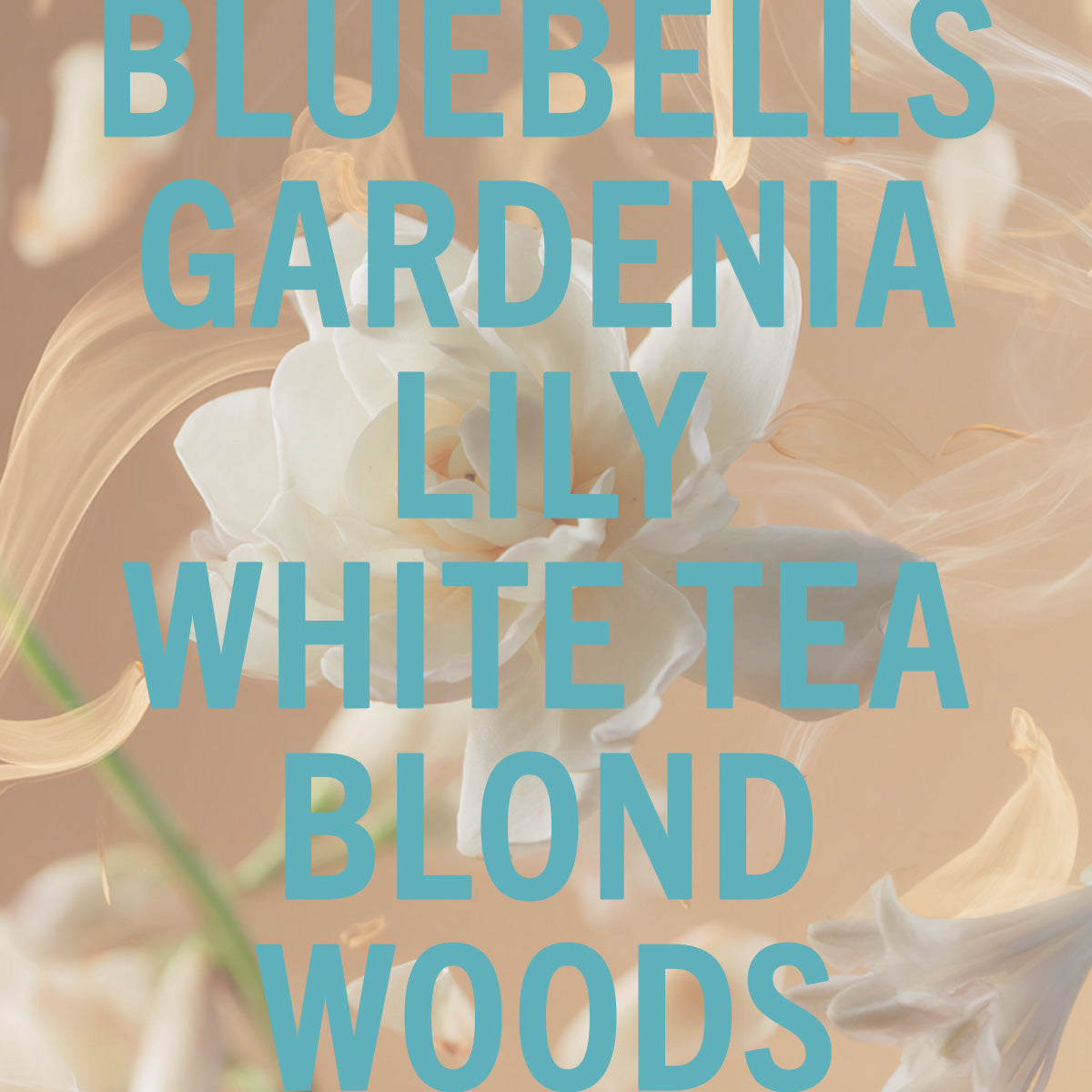 Tallulahs Camellia Fragrance 3.4oz - By Baano