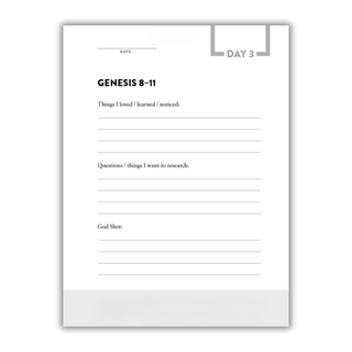 The Bible Recap Journal: Your Daily Companion to the Entire Bible (Spiral Bound) - By Baano