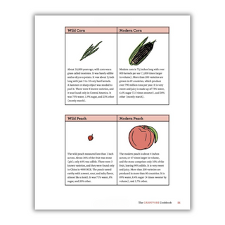 The Carnivore Cookbook (Spiral Bound) - By Baano