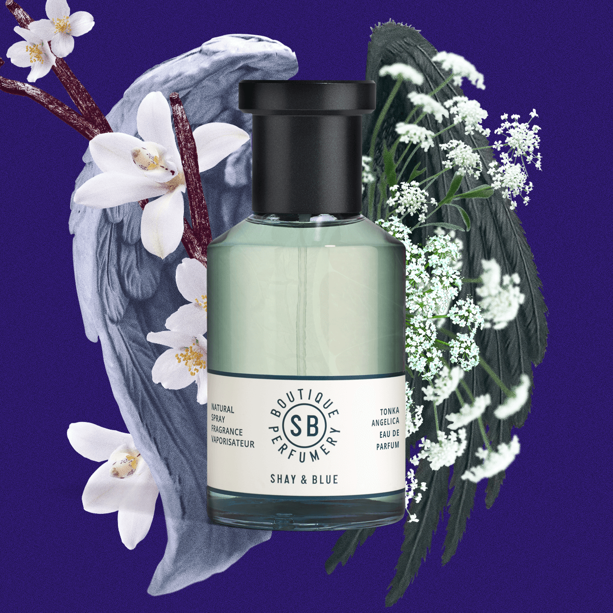 Tonka Angelica fragrance 3.4oz - By Baano