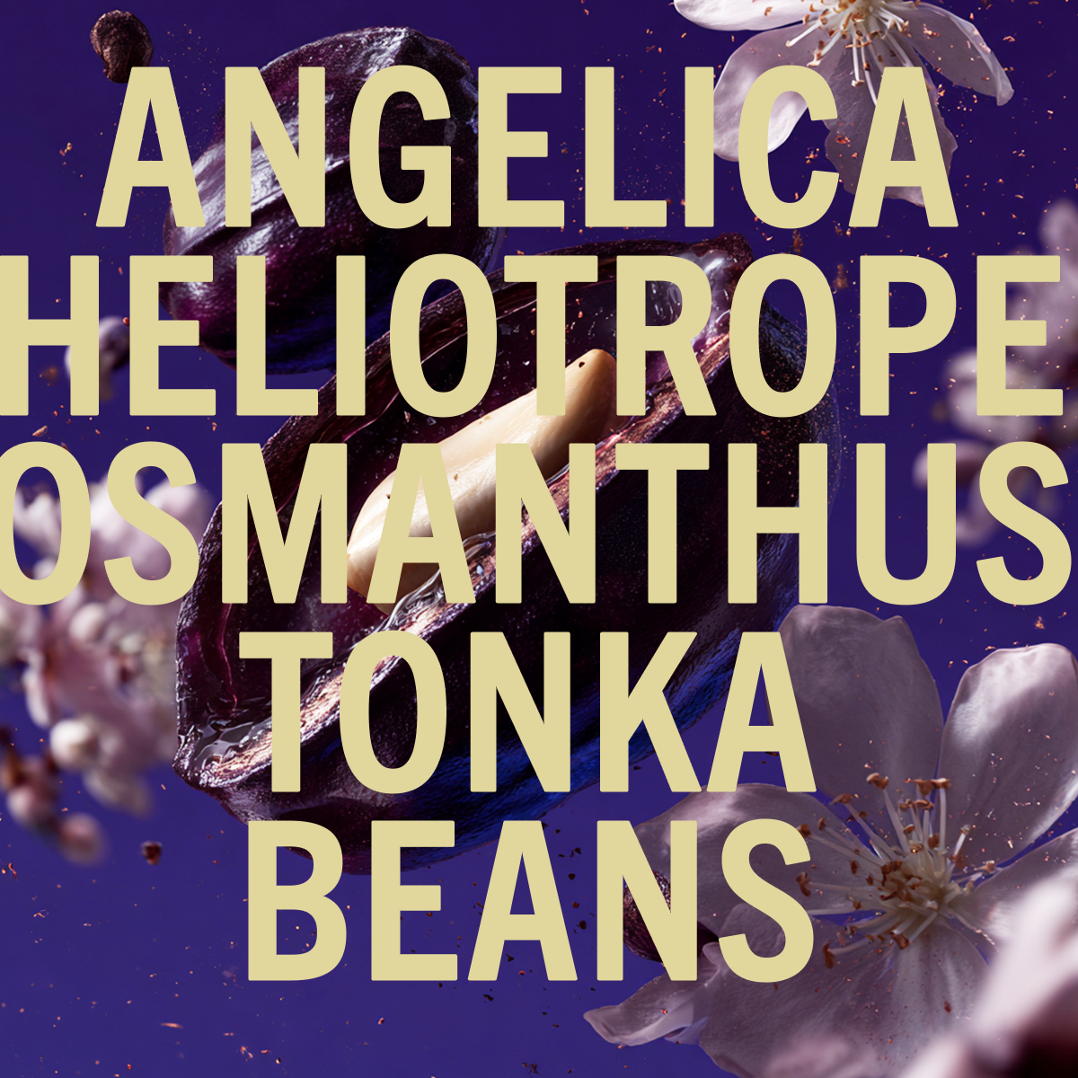 Tonka Angelica fragrance 3.4oz - By Baano