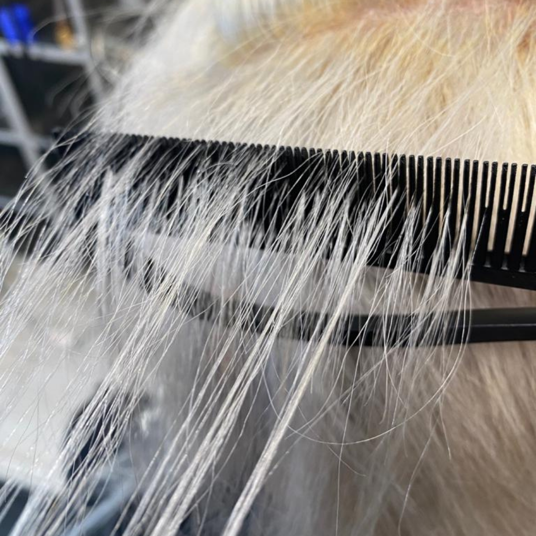 Texte alternatif par défaut