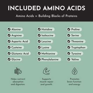 Vegan Mint Chocolate Protein Powder - By Baano