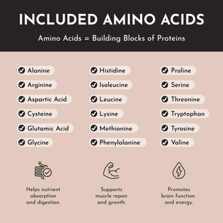 Vegan Chocolate Protein Powder - By Baano