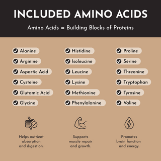 Vegan Peanut Butter Chocolate Protein Powder - By Baano