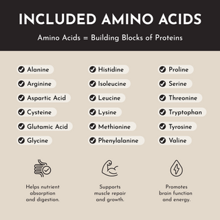 Vegan Vanilla Bean Protein Powder - By Baano