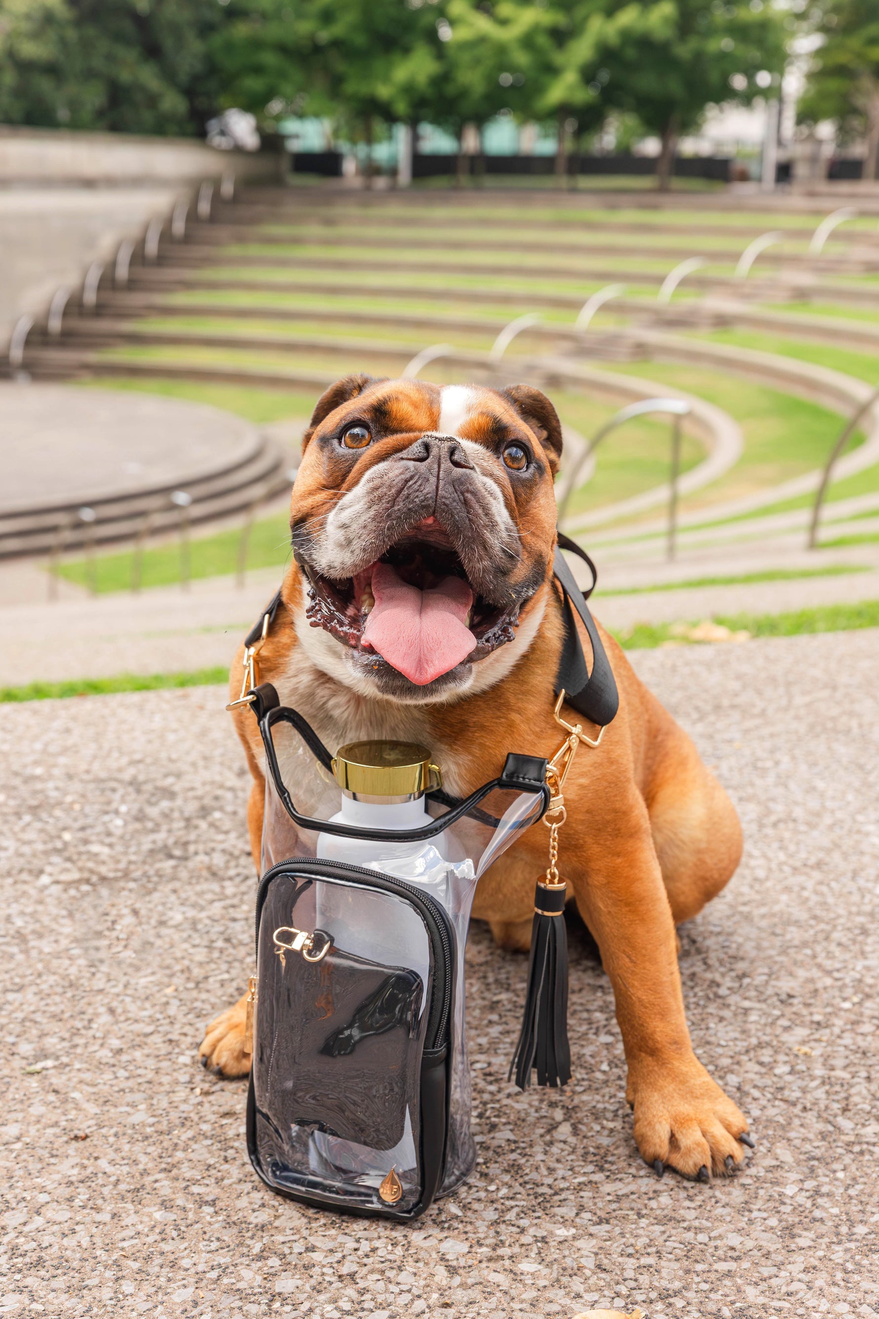 Clear HydroBag® Stadium with Black Trim and Matching Pouch