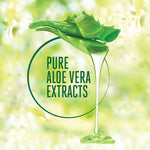 Lakme 9 To 5 Naturale Aloe Aqua Gel