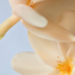 Yves Rocher Monoi Exfoliating Body Oil 150 ml - By Baano