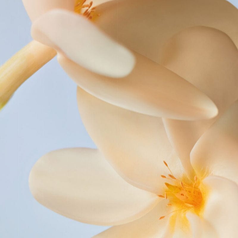 Yves Rocher Monoi Hair and Body Shampoo 400 ml - By Baano