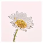 Yves Rocher Pure Camomile Face Wash Make-up Cleansing Oil 150 ml Chivela