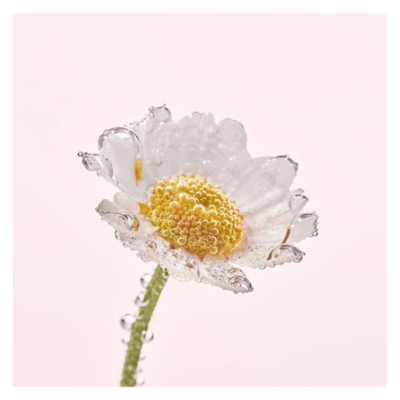 Yves Rocher Pure Camomile Face Wash Make-up Cleansing Oil 150 ml Chivela