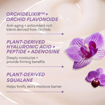 Orchid Youth-Enriched Cream, Korean Face Cream for Firming and Hydrated Skin