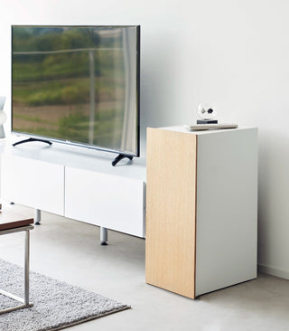 Video Game Storage Cabinet - Steel - By Baano