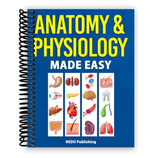 Anatomy & Physiology Made Easy: An Illustrated Study Guide for Students To Easily Learn Anatomy and Physiology (Spiral Bound) - By Baano